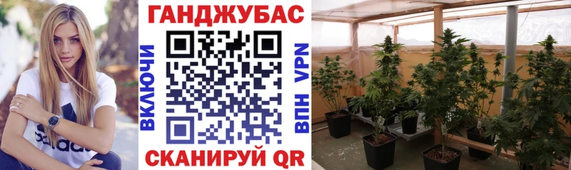 Купить наркотик Кадников Гашиш СК Cocaine Меф мяу мяу Псилоцибиновые грибы Codein Каннабис