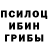 Псилоцибиновые грибы Psilocybine cubensis Ardento da