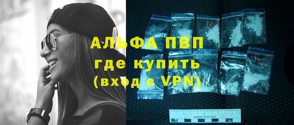 СК Алексин
