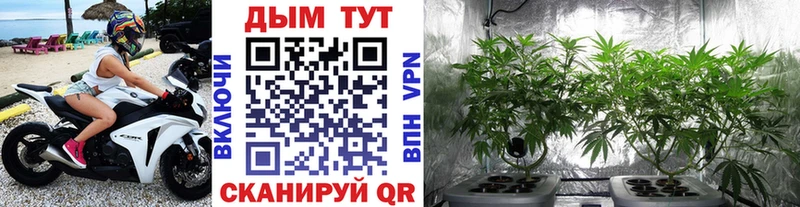Шишки марихуана THC 21% Кадников